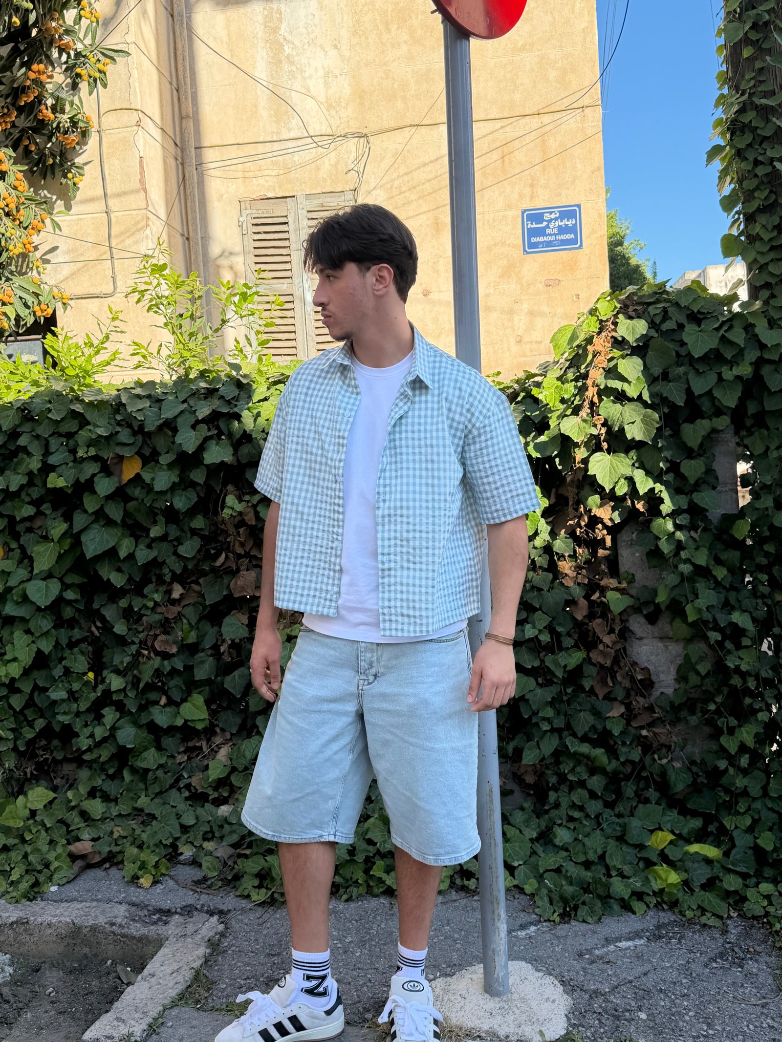 Vintasy cropped shirts